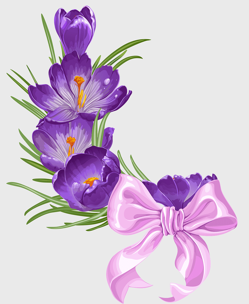 purple crocus bouquet, floral arrangement with violet flowers, vintage-inspired flower design, crocus flower illustration, springtime flower decoration, decorative floral bow, aromatic floral display