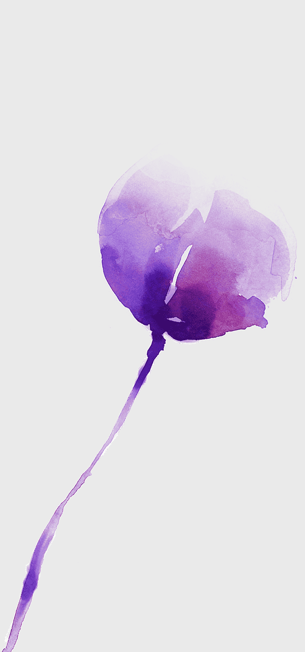 purple watercolor flower, violet flower painting, watercolor purple petal, magenta floral art, botanical watercolor illustration, floral watercolor sketch, purple blossom artwork purple watercolor flower, violet flower painting, watercolor purple petal, magenta floral art, botanical watercolor illustration, floral watercolor sketch, purple blossom artwork
