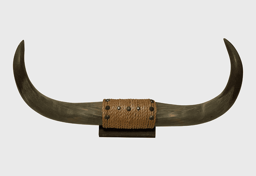 Cattle Horn Bull, antique horn decor, 1950s rustic decor, bull horn display, vintage animal decor, wooden stand for horns, jute-wrapped horn art