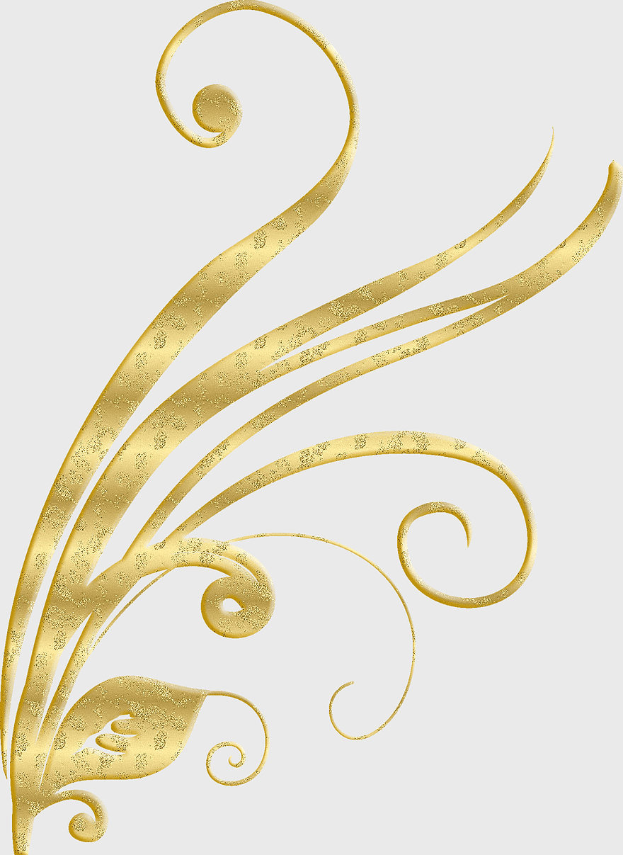 gold plant pattern, gold lace design, gold border ornament, gold spiral motif, elegant botanical art, luxurious decorative element, vintage floral embellishment gold plant pattern, gold lace design, gold border ornament, gold spiral motif, elegant botanical art, luxurious decorative element, vintage floral embellishment