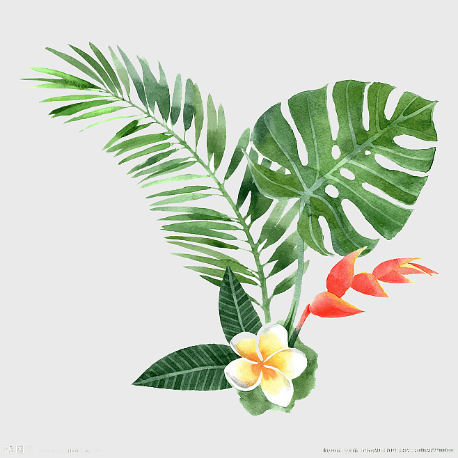 watercolor floral illustration, tropical plant drawing, philodendron leaf art, vintage floral elements, exotic flower design, botanical watercolor painting, green leafy plant decor watercolor floral illustration, tropical plant drawing, philodendron leaf art, vintage floral elements, exotic flower design, botanical watercolor painting, green leafy plant decor
