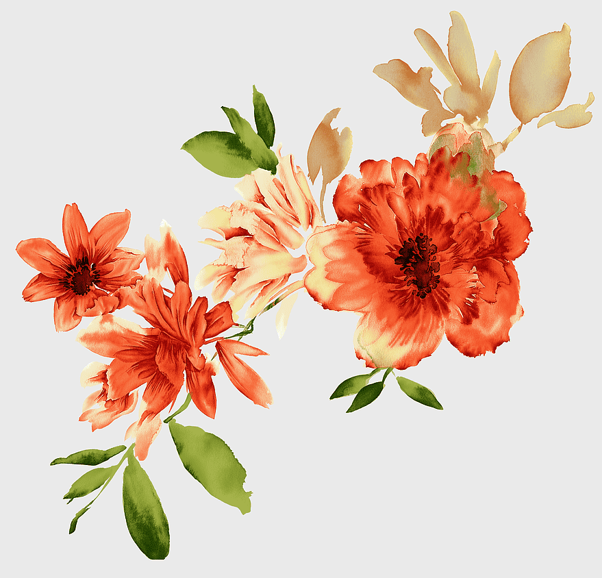 watercolor flower, blooming orange flower, warm nature illustration, isolated petal pattern, realistic floral art, vibrant botanical design, artistic bloom decoration