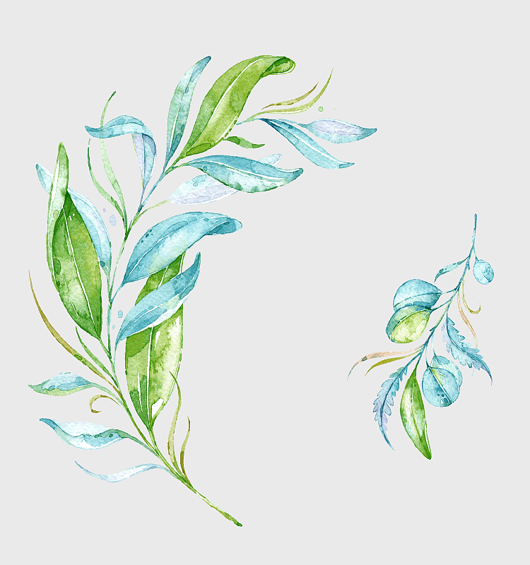 watercolor leaf illustration, blue-green handpainted branches, wicker plant design, teal watercolor flora, botanical art, nature-inspired artwork, leafy branch decor