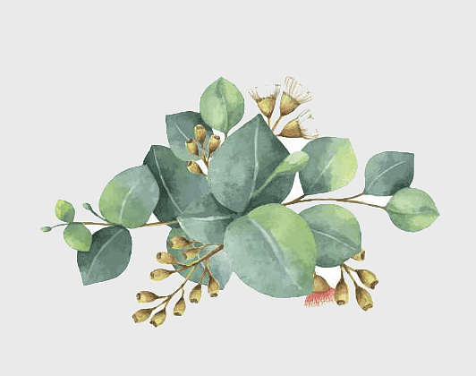 watercolor green leaves, white flowers botanical illustration, hand-drawn nature decoration, summer organic plant, eucalyptus branch art, floral watercolor design, greenery botanical sketch watercolor green leaves, white flowers botanical illustration, hand-drawn nature decoration, summer organic plant, eucalyptus branch art, floral watercolor design, greenery botanical sketch