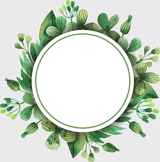round white green floral illustration, painted green leaves border, watercolor leaves frame, floral wreath border, nature-inspired design, botanical illustration, decorative greenery elements round white green floral illustration, painted green leaves border, watercolor leaves frame, floral wreath border, nature-inspired design, botanical illustration, decorative greenery elements