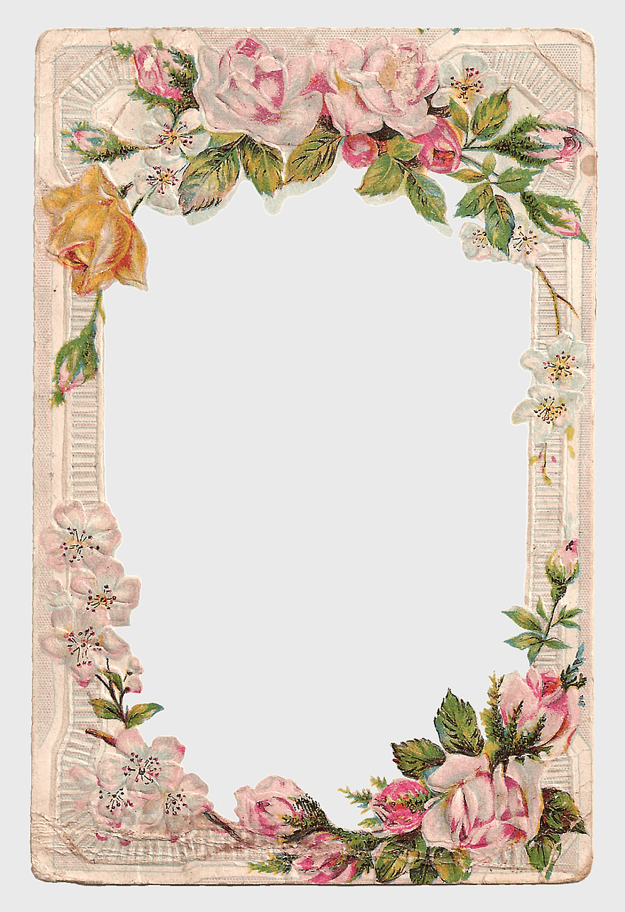 vintage rose frame, pink floral border, antique garden card, decorative rose petals, elegant floral design, classic flower arrangement, ornate botanical illustration vintage rose frame, pink floral border, antique garden card, decorative rose petals, elegant floral design, classic flower arrangement, ornate botanical illustration