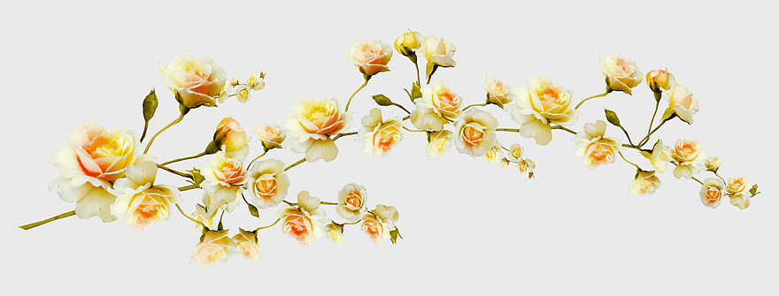 yellow flowers branch, decorative spring pattern, beautiful floral design, youth spring colors, elegant floral arrangement, delicate flower sprig, vibrant floral motif yellow flowers branch, decorative spring pattern, beautiful floral design, youth spring colors, elegant floral arrangement, delicate flower sprig, vibrant floral motif