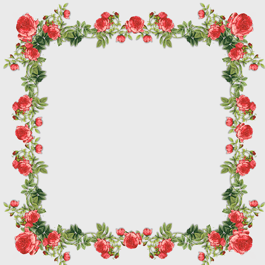 roses frame, floral design, flower garland, garden roses, botanical illustration, decorative floral border, vintage rose frame roses frame, floral design, flower garland, garden roses, botanical illustration, decorative floral border, vintage rose frame