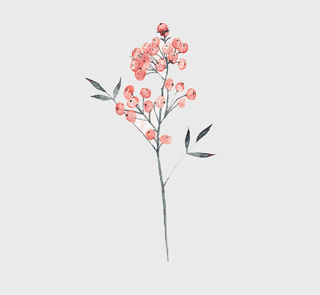watercolor red currant illustration, watercolor floral design, watercolor plant painting, watercolor leaf branch, botanical watercolor art, nature-inspired watercolor, artistic berry depiction watercolor red currant illustration, watercolor floral design, watercolor plant painting, watercolor leaf branch, botanical watercolor art, nature-inspired watercolor, artistic berry depiction
