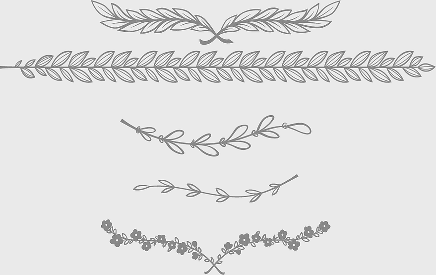 European lace divider, monochrome floral design, decorative pattern bar, illustrator style frame, vintage floral ornament, elegant design element, classic lace separator European lace divider, monochrome floral design, decorative pattern bar, illustrator style frame, vintage floral ornament, elegant design element, classic lace separator