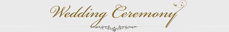 Eyelash Line Font, wedding ceremony text, elegant wedding tags, decorative line font, ornate wedding script, ceremonial font design, vintage wedding typography