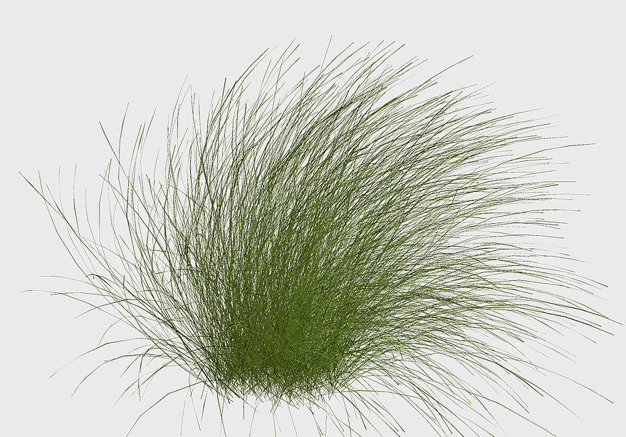 green grass illustration, close-up grass family, plant borders, grass family, natural texture, botanical art, eco-friendly design green grass illustration, close-up grass family, plant borders, grass family, natural texture, botanical art, eco-friendly design