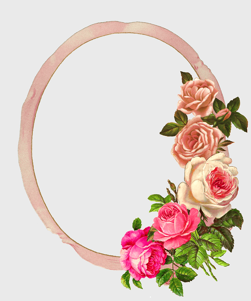 oval floral frame, pink rose border, digital rose illustration, decorative flower design, vintage floral wreath, elegant rose frame, garden rose decoration
