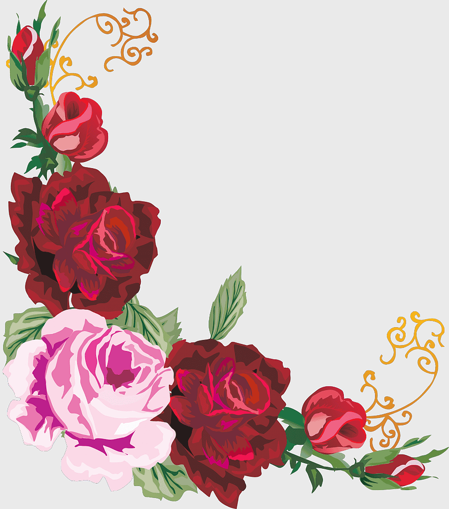 red and pink floral border, watercolor rose illustration, wedding flower design, magenta rose art, botanical illustration, decorative floral elements, vine and petal arrangement red and pink floral border, watercolor rose illustration, wedding flower design, magenta rose art, botanical illustration, decorative floral elements, vine and petal arrangement