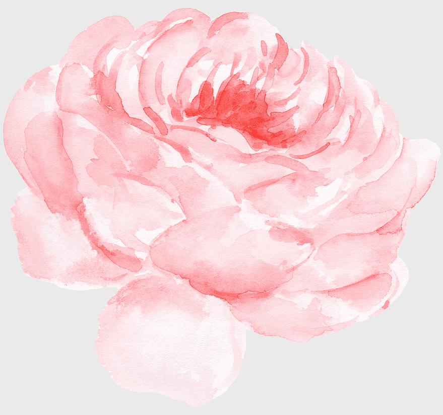 peony watercolor painting, pink peony flower, watercolor floral pattern, summer flower illustration, delicate watercolor art, botanical watercolor design, romantic floral artwork peony watercolor painting, pink peony flower, watercolor floral pattern, summer flower illustration, delicate watercolor art, botanical watercolor design, romantic floral artwork