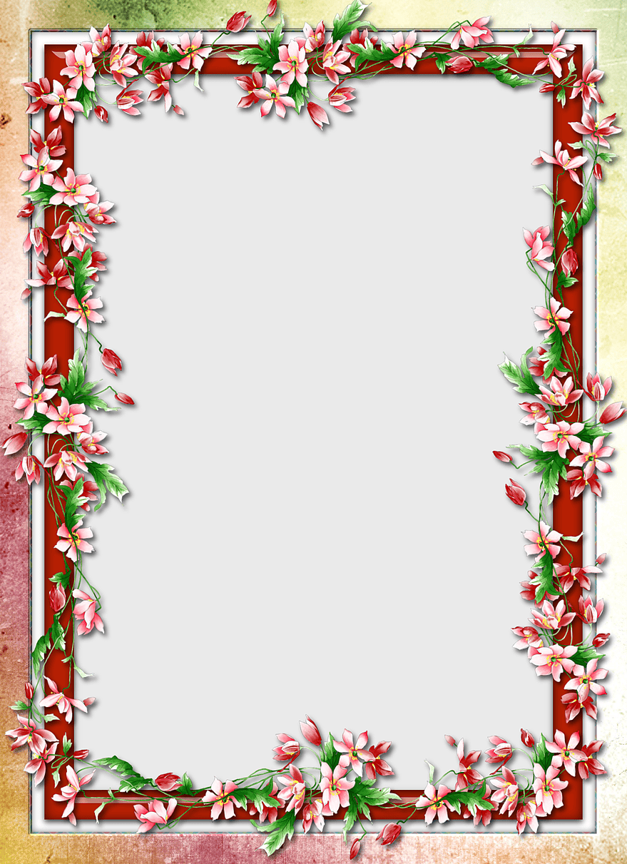 floral border design, red flowers frame, happy birthday border, petal decorative frame, floral art template, vintage floral frame, botanical border design floral border design, red flowers frame, happy birthday border, petal decorative frame, floral art template, vintage floral frame, botanical border design