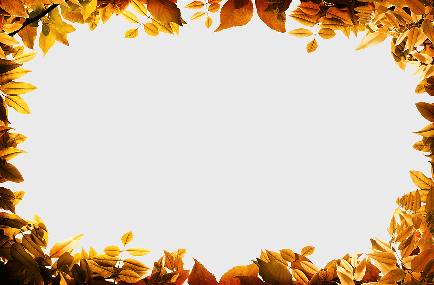 autumn leaf border frame, watercolor fall leaves design, golden autumn foliage frame, certificate border with autumn leaves, seasonal decorative frame, nature-inspired border art, leafy seasonal frame design autumn leaf border frame, watercolor fall leaves design, golden autumn foliage frame, certificate border with autumn leaves, seasonal decorative frame, nature-inspired border art, leafy seasonal frame design