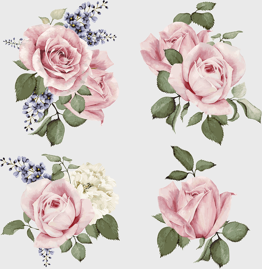 hand-painted pink roses, watercolor floral illustration, romantic rose clusters, wedding invitation design, delicate rose petals, botanical art print, vintage flower arrangement hand-painted pink roses, watercolor floral illustration, romantic rose clusters, wedding invitation design, delicate rose petals, botanical art print, vintage flower arrangement