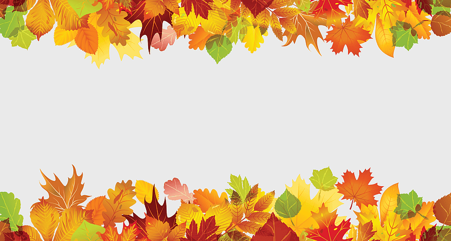 fall border design, autumn leaves frame, seasonal leaf background, harvest-themed border, colorful foliage decoration, nature-inspired graphics, decorative seasonal elements, png