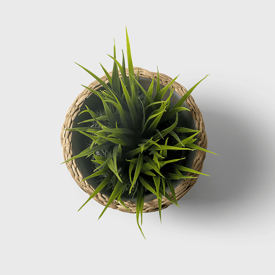 green potted plant, indoor greenery, kind green plants, potted indoor plants, wicker basket with plants, home decorating elements, artificial greenery arrangements