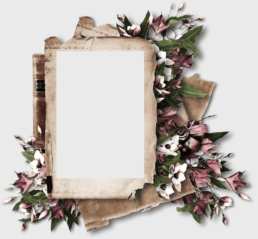 Business cluster frame, vintage floral design, scrapbooking border, label cut flowers, antique frame, decorative montage, blossom collage art