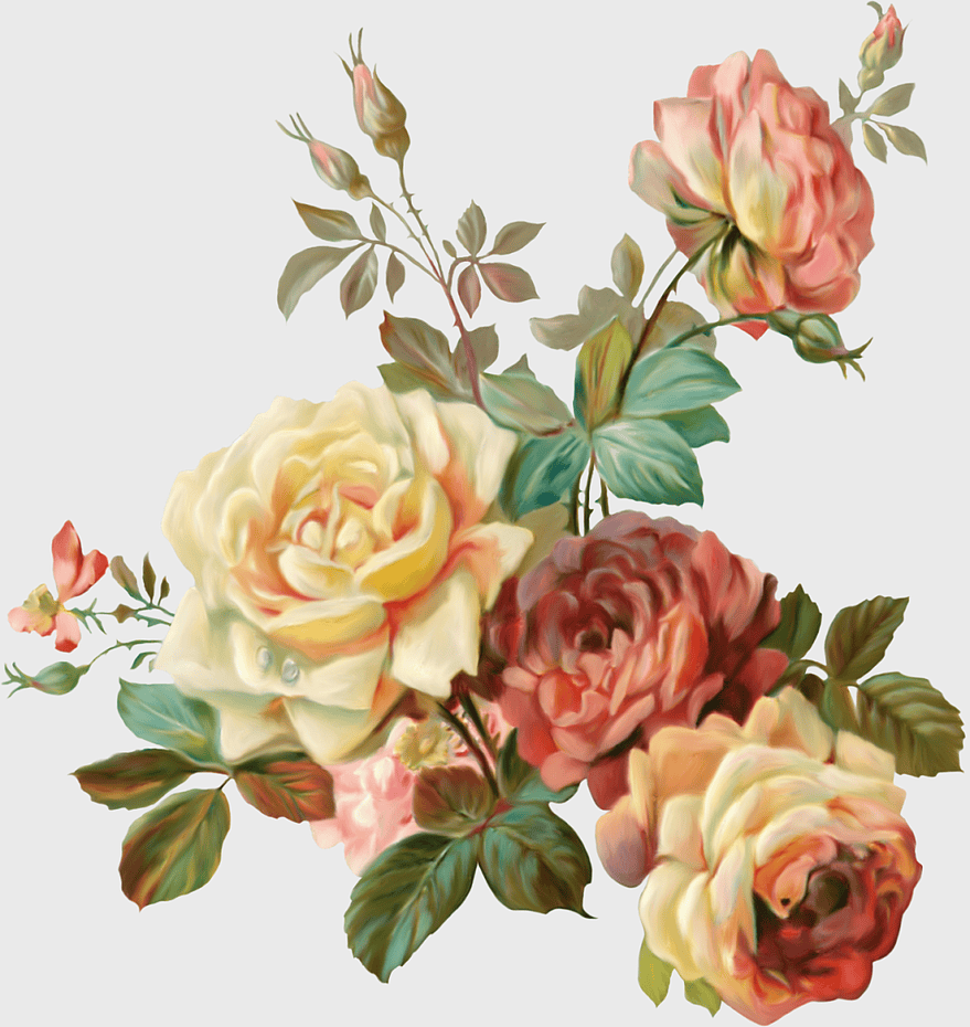 pink roses vintage illustration, shabby chic floral design, rose bouquet painting, rosa centifolia art, botanical garden roses, romantic flower arrangement, vintage floral decor