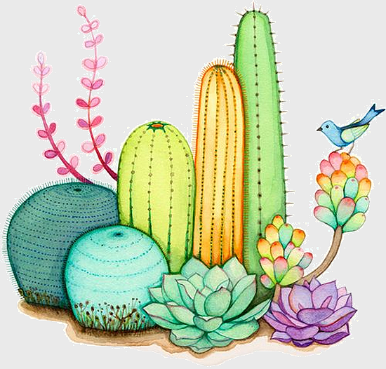 cactus watercolor painting, succulent plant illustration, cactus garden art, cactaceae succulent drawing, desert flora artwork, botanical watercolor design, succulent garden decor