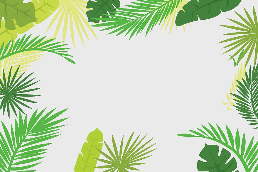 palm leaf border, green leaves illustration, vintage border frame, floral border design, tropical leaf frame, nature-themed border, leafy border illustration palm leaf border, green leaves illustration, vintage border frame, floral border design, tropical leaf frame, nature-themed border, leafy border illustration