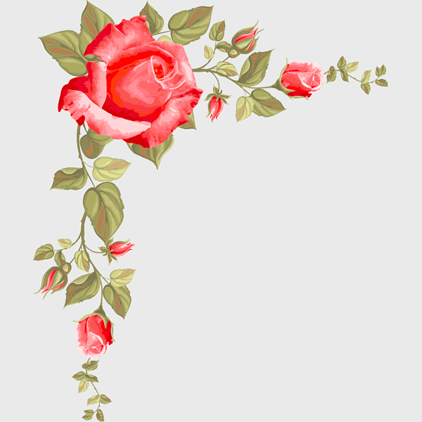 red roses drawing, rose floral borders, hand-painted rose illustration, painted rose design, vintage rose art, romantic rose graphics, decorative floral elements red roses drawing, rose floral borders, hand-painted rose illustration, painted rose design, vintage rose art, romantic rose graphics, decorative floral elements
