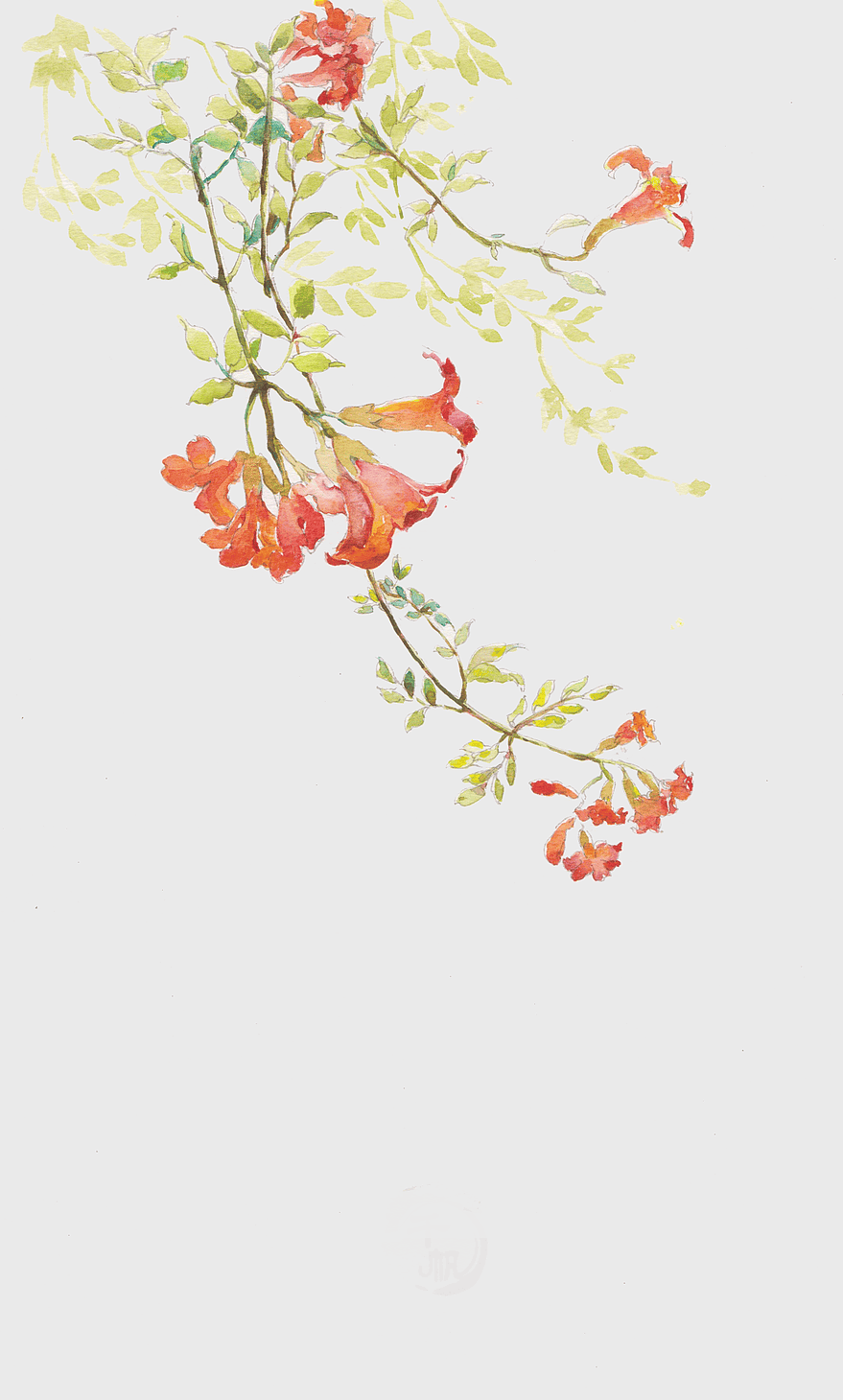 watercolor red flower painting, antiquity floral illustration, watercolor leaves and branches, chinese art flower design, botanical watercolor art, vintage floral artwork, nature-inspired watercolor prints watercolor red flower painting, antiquity floral illustration, watercolor leaves and branches, chinese art flower design, botanical watercolor art, vintage floral artwork, nature-inspired watercolor prints
