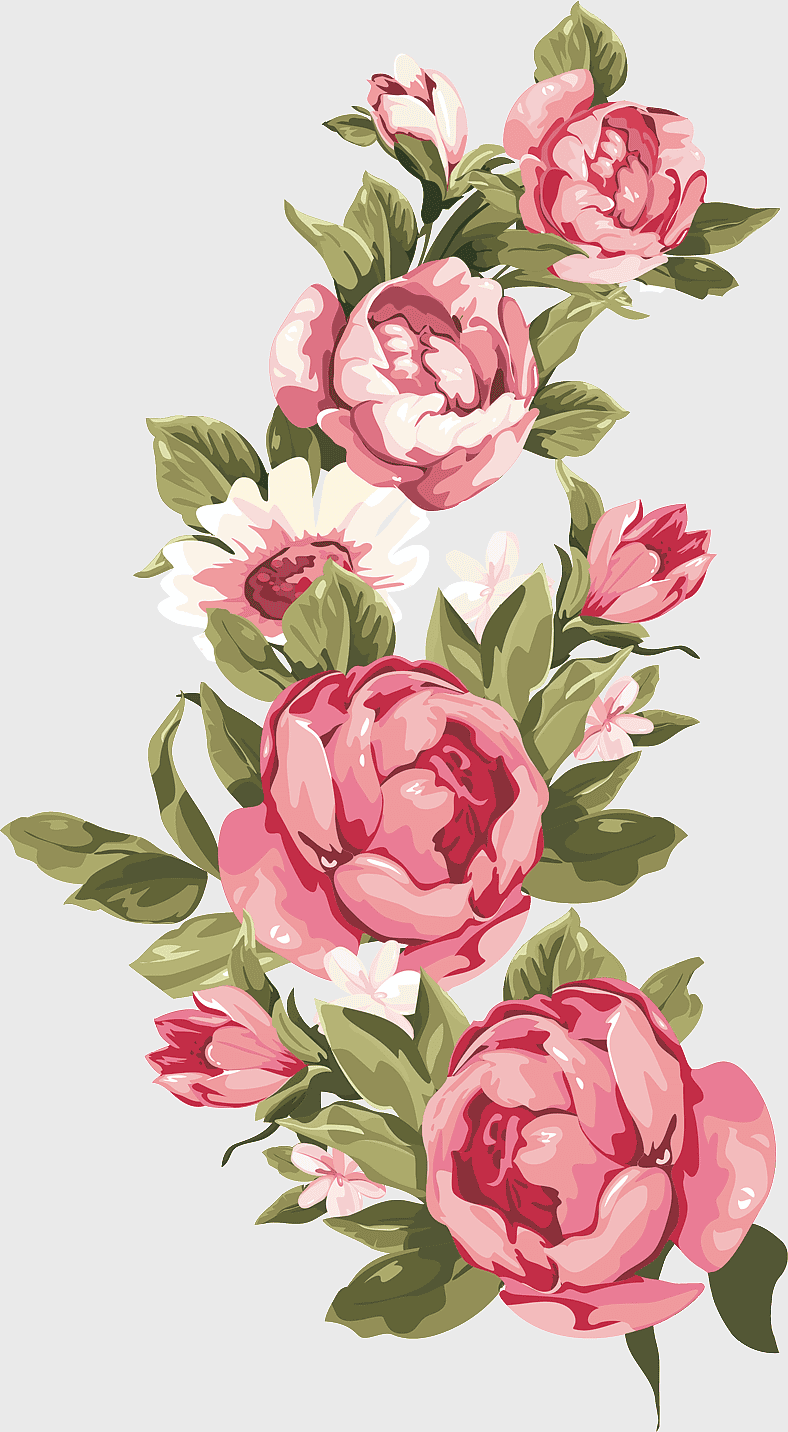 pink rose illustration, watercolor floral border, rose family decoration, floral design ornament, botanical art, garden flower arrangement, vintage floral pattern pink rose illustration, watercolor floral border, rose family decoration, floral design ornament, botanical art, garden flower arrangement, vintage floral pattern