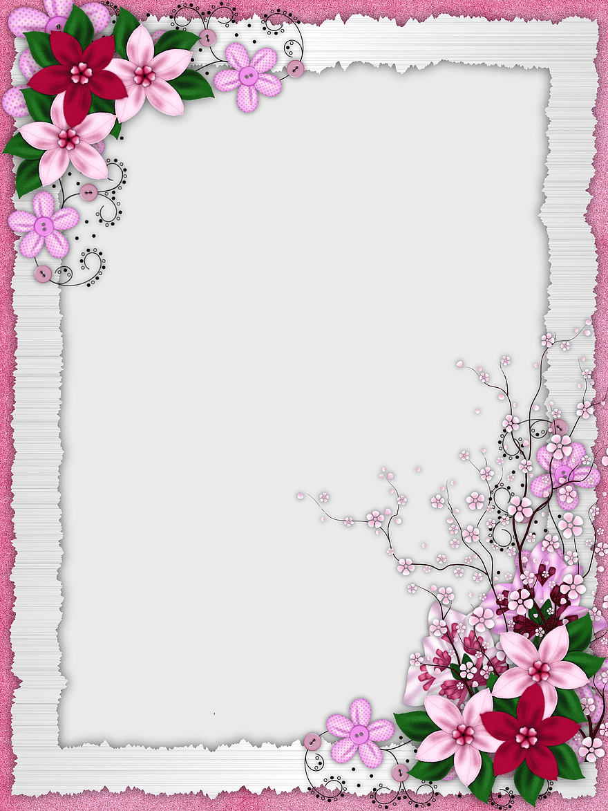 white floral frame, pink flower border, green floral design, certificate floral frame, decorative floral arrangement, elegant floral decoration, artistic floral composition white floral frame, pink flower border, green floral design, certificate floral frame, decorative floral arrangement, elegant floral decoration, artistic floral composition