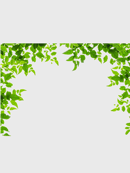 green leaves border, leaf frame design, watercolor leaves border, pretty green leaf frame, natural foliage frame, botanical border art, eco-friendly leaf decoration green leaves border, leaf frame design, watercolor leaves border, pretty green leaf frame, natural foliage frame, botanical border art, eco-friendly leaf decoration
