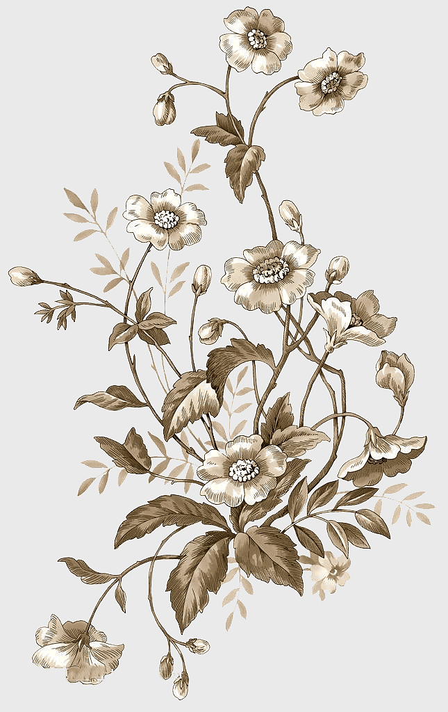 brown flowers illustration, pastel flower cluster, watercolor flower pattern, floral design, botanical art, nature-inspired art, vintage flower illustration brown flowers illustration, pastel flower cluster, watercolor flower pattern, floral design, botanical art, nature-inspired art, vintage flower illustration