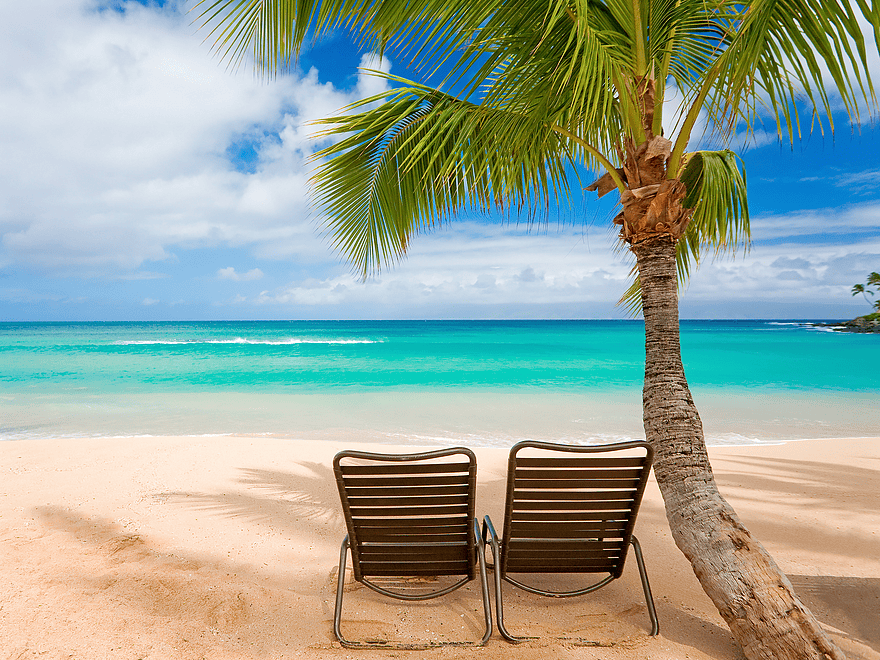 tropical beach vacation, seaside resort getaway, palm tree beach scene, sunlounger beach setup, caribbean beach paradise, oceanfront relaxation spots, sandy shore leisure activities