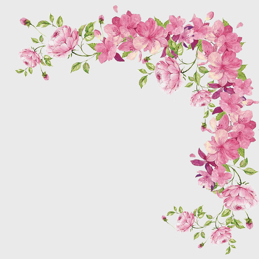 hand-painted floral border, pink watercolor flowers, decorative floral design, small fresh flower arrangement, botanical illustration, floral art print, romantic flower decor hand-painted floral border, pink watercolor flowers, decorative floral design, small fresh flower arrangement, botanical illustration, floral art print, romantic flower decor