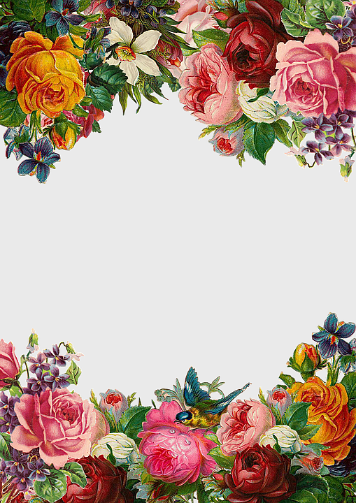 beautiful floral border, pink and yellow flower illustration, watercolor flower frame, rose garden design, vintage floral arrangement, botanical art print, decorative flower pattern beautiful floral border, pink and yellow flower illustration, watercolor flower frame, rose garden design, vintage floral arrangement, botanical art print, decorative flower pattern