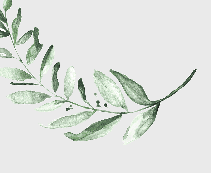 wedding invitation leaf design, engagement party place cards, green wedding branch decor, bridal shower plant stem, botanical wedding invitation, nature-inspired party tags, eco-friendly wedding stationery
