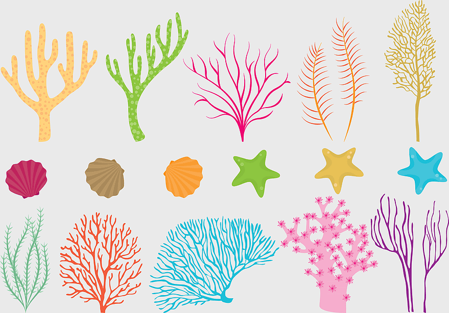 colorful coral reef illustration, assorted-color sea corals, purple coral collection, coral reef design, underwater marine life, vibrant ocean flora, marine biodiversity art colorful coral reef illustration, assorted-color sea corals, purple coral collection, coral reef design, underwater marine life, vibrant ocean flora, marine biodiversity art