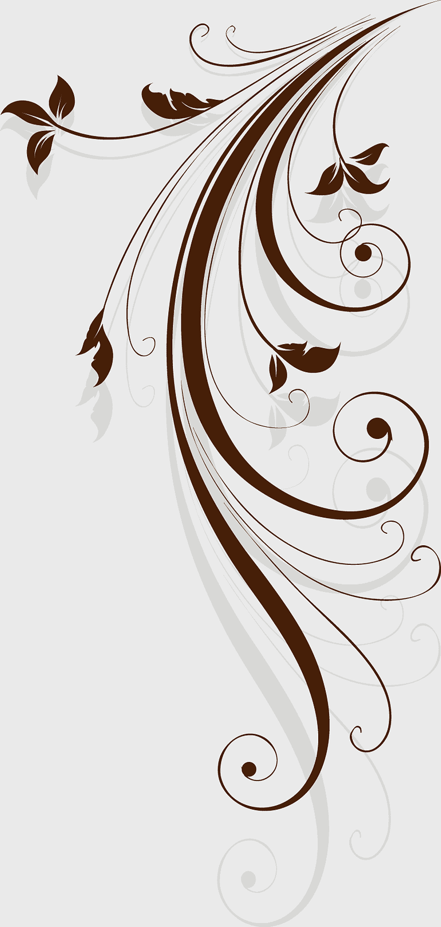 lace floral design, decorative swirl patterns, ornate leaf motifs, classic elegance illustration, vintage scroll art, intricate vine shapes, delicate nature motifs